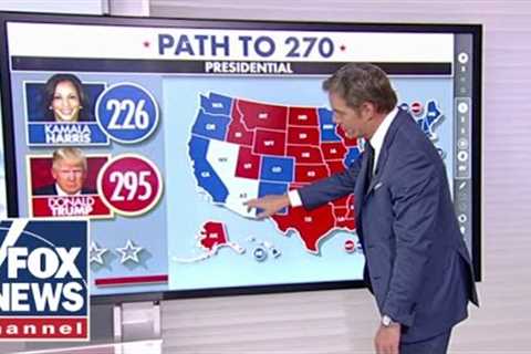 Trump on track for electoral ‘landslide,’ popular vote win