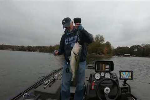 Lake Norman Big Bass