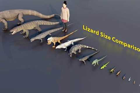 Big Lizard size comparison | 3D Animation #animation #animals