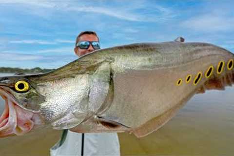 INVASIVE Fish are Taking Over...Catch Clean Cook (Clown Knife Fish &amp; Snakehead)
