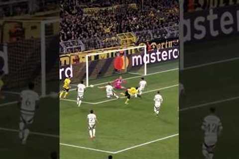 Topgol#football #futbol #edit #soccer #rugby #viralvideo #funny #moments
