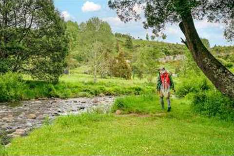 Fly Fishing Advice for Beginners (I wish I learnt earlier)