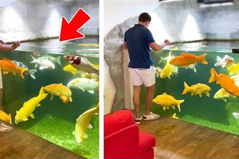 Amazing Indoor Koi Pond!