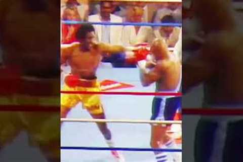 OLD BUT GOLD MOMENTS IN BOXING. #trending #fighthighlights #boxingfight