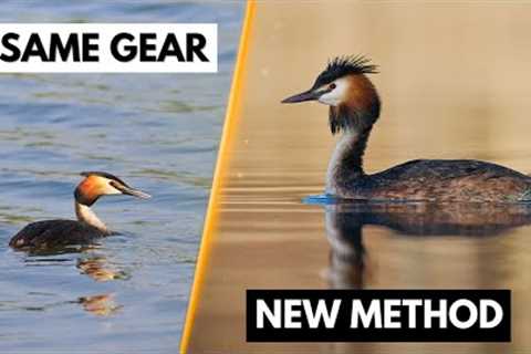 7 Wildlife Photography Hacks Without Buying New Gear