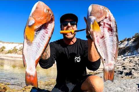 SOLO fishing - CATCH and COOK fish burgers. Best tasting fish in the sea?