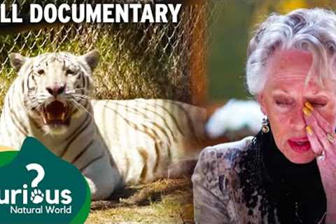 The Reality Of Keeping Pet Tigers &amp; Bears | Full Documentary | Predator Pets