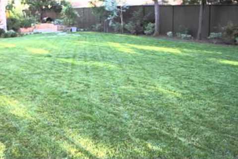 How to Landscape a Big Backyard : Landscaping &amp; Garden Design