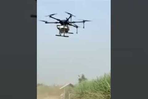 #agriculturedrone #advanceagriculture #short #spray #technology #future of #farming