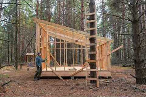 Building a huge cabin with my own hands