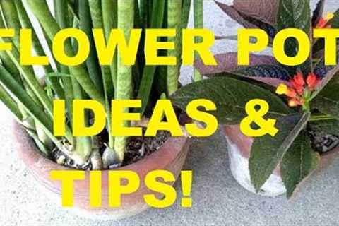 HOW TO CHOOSE THE BEST FLOWER POT | CONTAINER GARDENING TIPS!