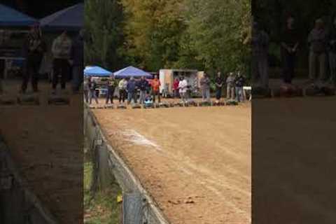 Biggest RC car drag race all at the same time