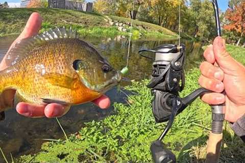 JUMBO BLUEGILL CATCH, CLEAN, COOK!!