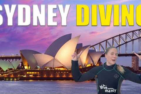 Scuba Diving In SYDNEY | Cabbage Tree Bay 🇦🇺