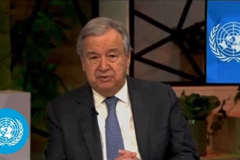 Global Food Crisis - UN Chief Message