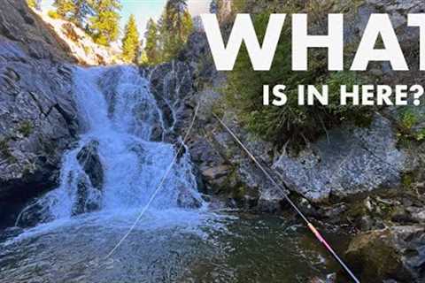 Fishing Below and Above a Wilderness Waterfall! (Tenkara Fly Fishing)