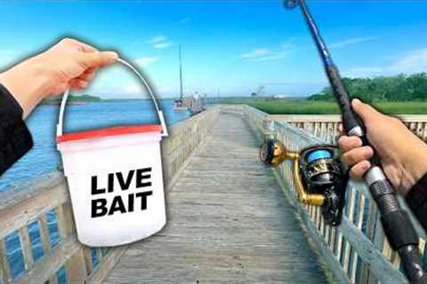 Eating Whatever I Catch.. Fishing a Public Dock (Catch and Cook)