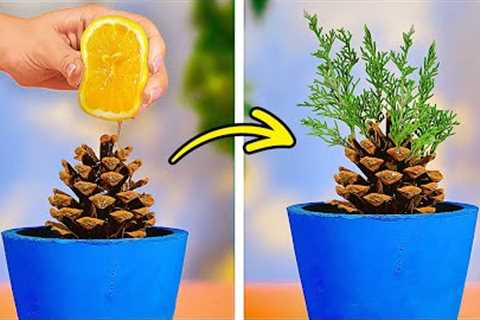 Top Secret Gardening Hacks You Wish You Knew Sooner! 🌿😲