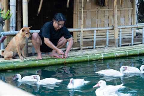 Making Bamboo Railings, Animal Care, Cooking: River Survival | EP.404