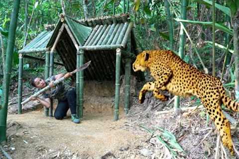 Face ferocious leopards, build a cozy winter shelter and cook, survival skills / phượng pú