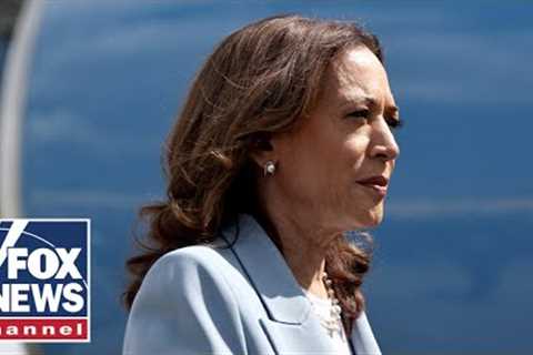Harris surrogate admits she felt 'misled': 'Billion-dollar disaster'