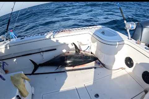 Ghost Hunting Bluefin Tuna with Phil Knapp Ocean City MD 2024