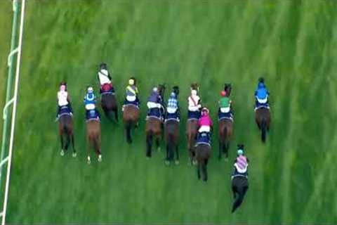 MR BRIGHTSIDE - Champions Mile 2024 (3YO+ WFA G1) Group 1 Flemington 9 November