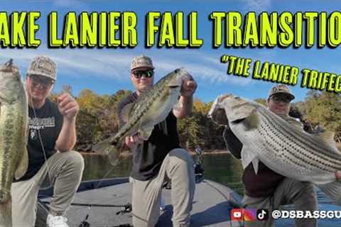 Bass Fishing the Fall Transition on Lake Lanier (Spots, Largies and STRIPER!!!)