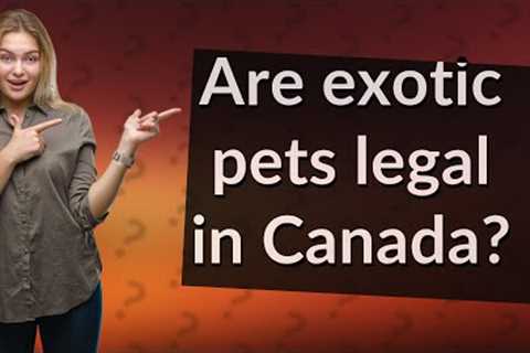 Are exotic pets legal in Canada?
