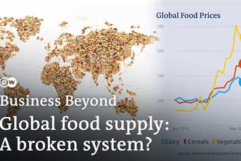 A world going hungry? How conflict and climate change disrupt global food supply | Business Beyond