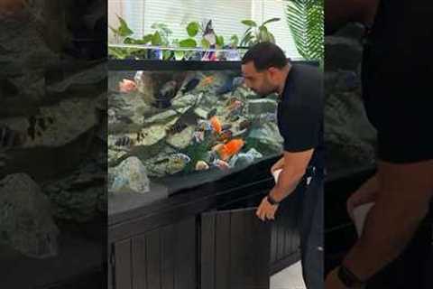 “Keeping African Cichlids” will get you a tank full of the most beautiful freshwater fish out there