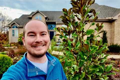 New Proven Winners Trees (It's Been a Weird Fall) | The Southerner's Northern Garden