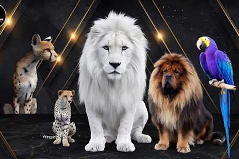 10 Exotic Pets Billionaires Own That Will Blow Your Mind!