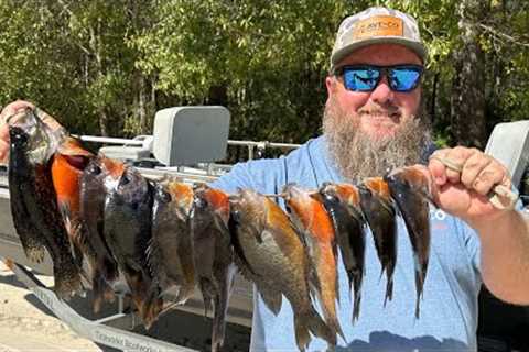 Creek Fishing for Topwater Panfish!!! {Catch Clean Cook}