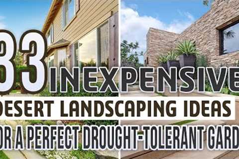 33 Inexpensive Desert Landscaping Ideas For a Perfect Drought-Tolerant Garden