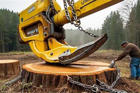 Extreme Dangerous Fastest Big Chainsaw Cutting Tree Machines | Monster Stump Removal Excavator #75