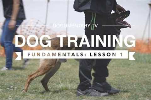 DOG TRAINING FUNDAMENTALS: LESSON 1