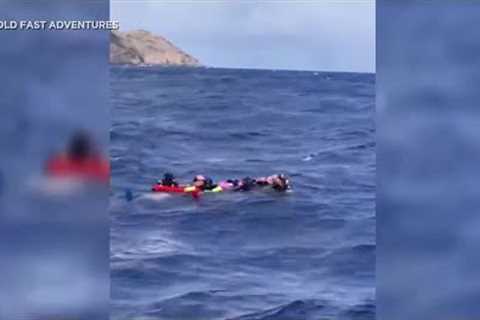 5 scuba divers rescued off Hawaii Kai after being spotted by sailboat