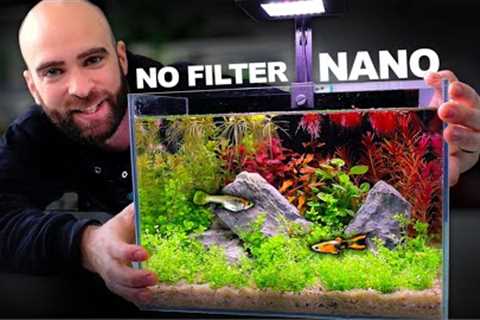 Nano Ecosystem Fish Tank You Can Put Anywhere!