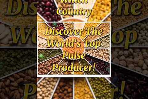Discover The World's Top Pulse Producer |#shorts #viral #trending #ytshorts@WorldoPedia1.1M