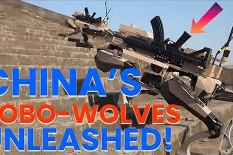China's Robo Wolves Unveiled at Airshow China 2024
