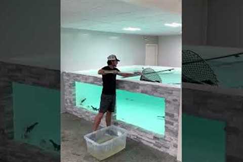 I Built My Dream Aquarium 😍
