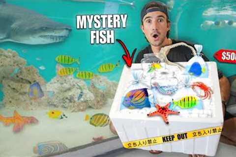 BUYING $500 LIVE FISH MYSTERY BOX Off The Web... (What's Inside?)