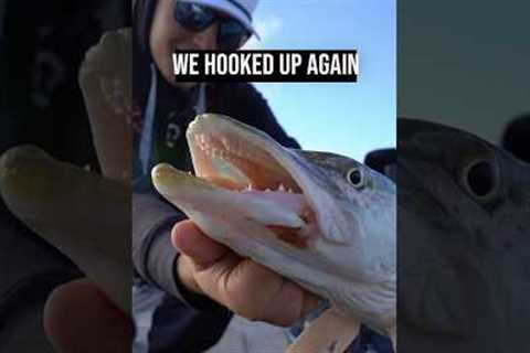 This BRAND NEW Lake is LOADED w/ Fish! #fishing