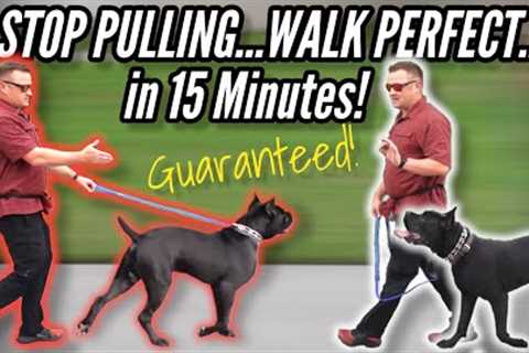How to STOP your DOG PULLING on LEASH...GUARANTEED!  / / Dog Trainer's Secret Revealed