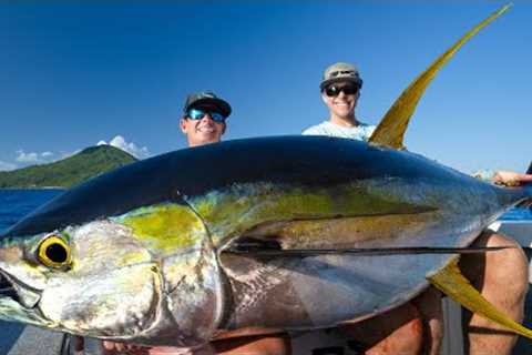 MASSIVE Mexican Tuna... Catch Clean Cook (Yellowfin Tuna)