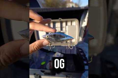 Can OLD Lures still Catch Fish? #fishing