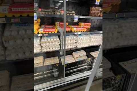 grocery shop with me✨🥒 #groceryshopping #shopwithme #shopping #vlog #asmr #fridgerestock #restock