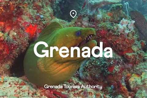 Buddy presents: @puregrenada  #scubadiving
