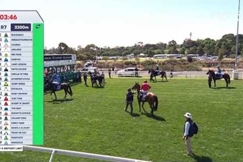 Knight's Choice – Lexus Melbourne Cup – Lexus Melbourne Cup Day, Race 7